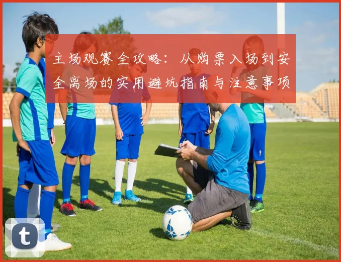 主场观赛全攻略：从购票入场到安全离场的实用避坑指南与注意事项